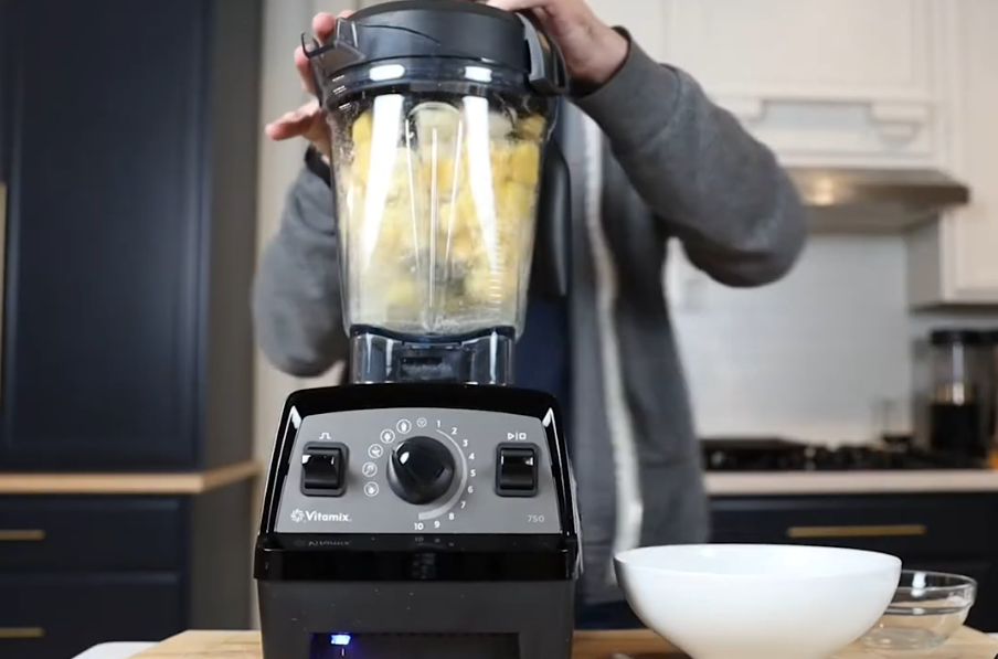 Vitamix Propel 510